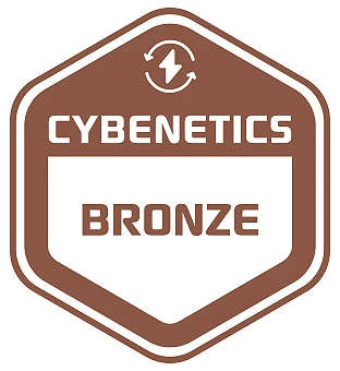 Bronze