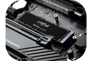 SSD Crucial P5 PLUS NVME PCIE 4 500 Go - Ekimia