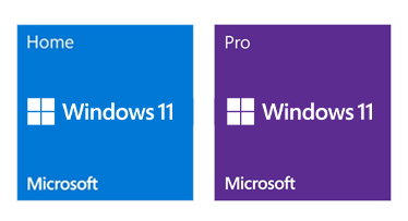 Windows 11 Home vs. Pro