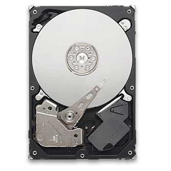 Seagate Constellation ES 500GB Hard Drive - HDD