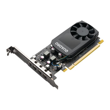 P1000 on sale graphics card