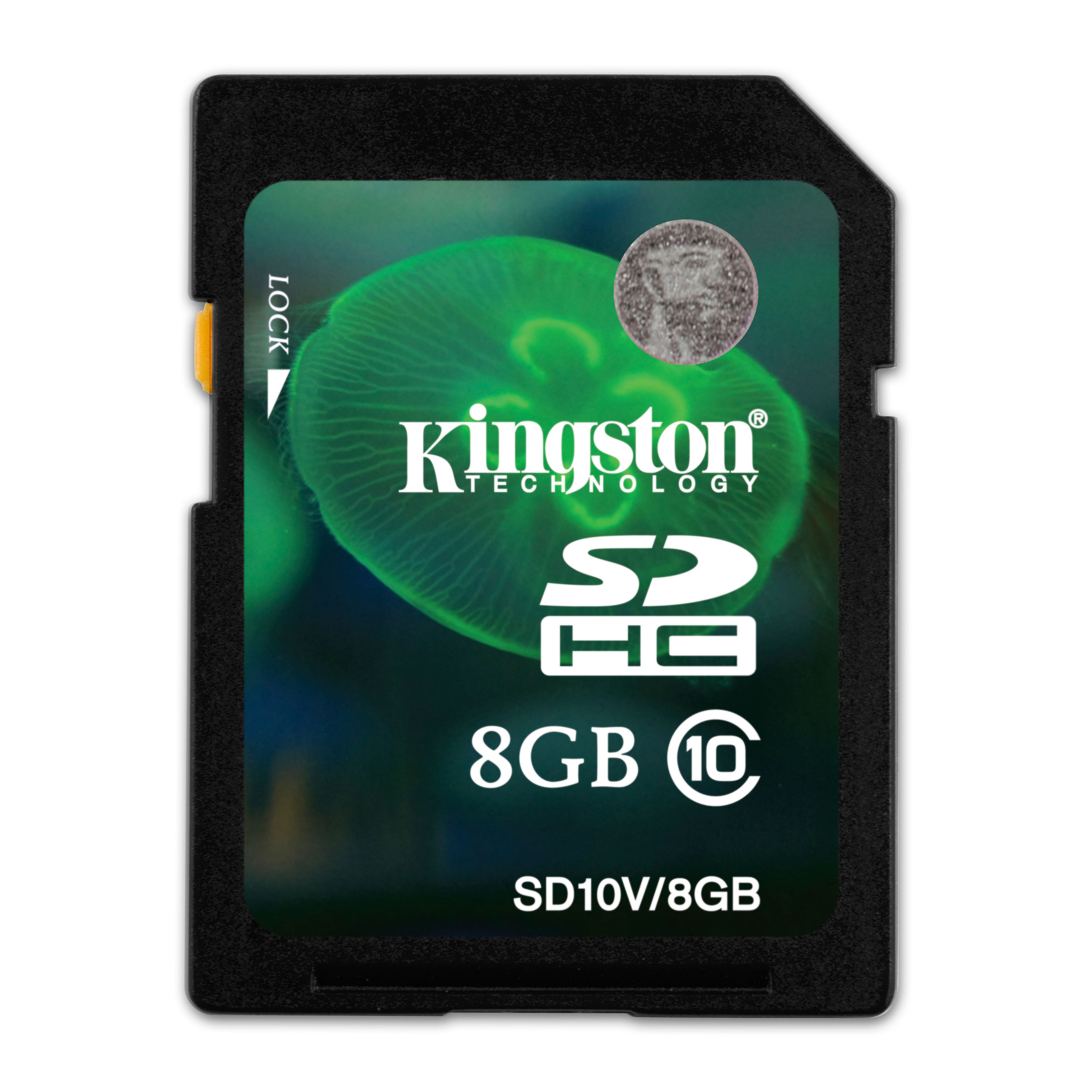 Kingston Fast Class 10 8GB SD Memory Card LN42389 - SD10V/8GB | SCAN UK