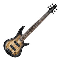 Ibanez GSR206SM 6-String Bass Guitar - Natural Gray Burst