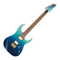 (B-Stock) Ibanez RG SERIES, Wizard/Roasted Maple neck, Ash Top, Blue Reef Gradiation