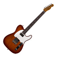 Fender American Custom Shop Tele NOS, Violin Burst