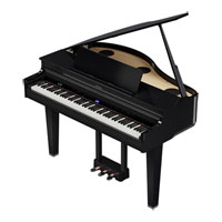 Roland GP-6-PE 88-Key Digital Piano (Polished Ebony)