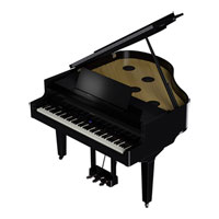 Roland GP-9M-PE Premium Digital Piano (Polished Ebony)