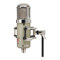 Lauten Audio EDEN LT-386 Large Diaphragm Tube Condenser Microphone