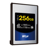 Wise CFX4-A256M2 256GB Memory Card