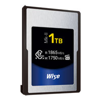 Wise CFX4-A 1TB Memory Card