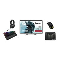 iiyama FPS Loadout 2 - 42.5" iiyama Monitor + ASUS Keyboard + Headset + Mouse + Mousemat