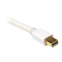 10ft (3m) Mini DisplayPort Cable (Male to Male) - White