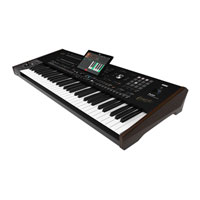 (Open Box) Korg Pa5X 61 Oriental 61-key Arranger Workstation