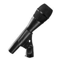 Shure KSM11B/C Premium Condenser Microphone