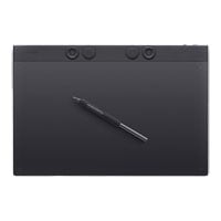 Wacom Intuos Pro (2025) Large Graphics Tablet with Pen